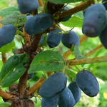 001.jpg