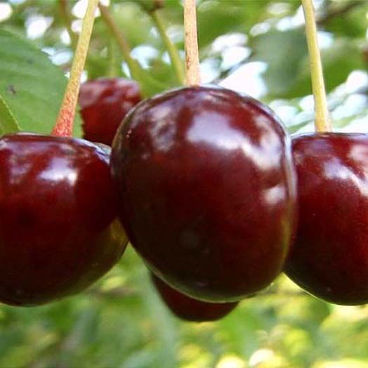 1.jpeg