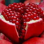 26cb3dd8789052bc6c8e8c1ff01c0976.jpg
