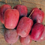 aktinidia-kiwi-purpurna-sadowa-2-560x560.jpg