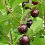 001.jpg