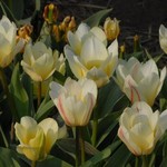 1.jpeg
